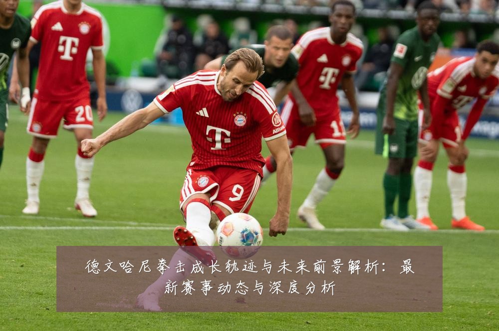 德文哈尼拳击成长轨迹与未来前景解析：最新赛事动态与深度分析